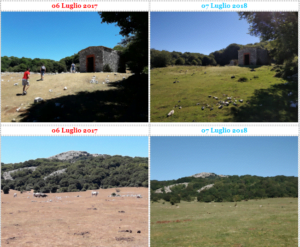 Gli effetti delle piogge sulla vegetazione Monte Gennaro un anno dopo