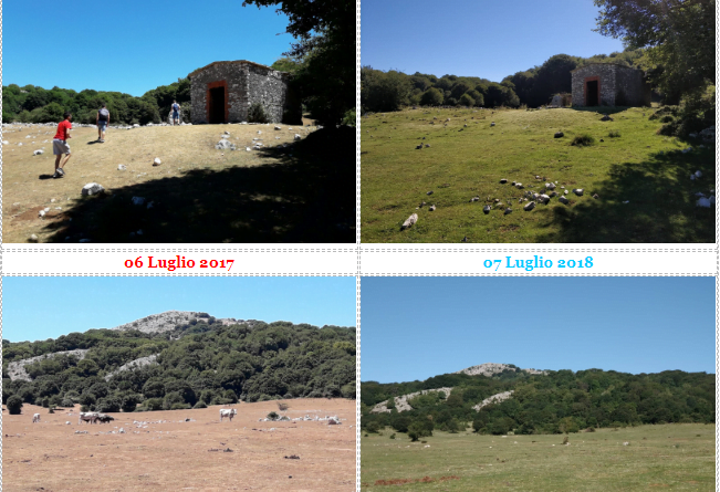 Gli effetti delle piogge sulla vegetazione Monte Gennaro un anno dopo