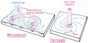 Lo schema dei venti associati ai due differenti fenomeni