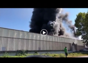 Incendio alla sede Nissan di Capena - Foto e video