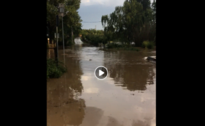 Allagamenti e danni a causa della pioggia la situazione a Montelibretti