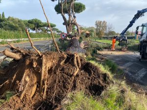 Centinaia di alberi caduti su tutto il Lazio ecco i primi dati