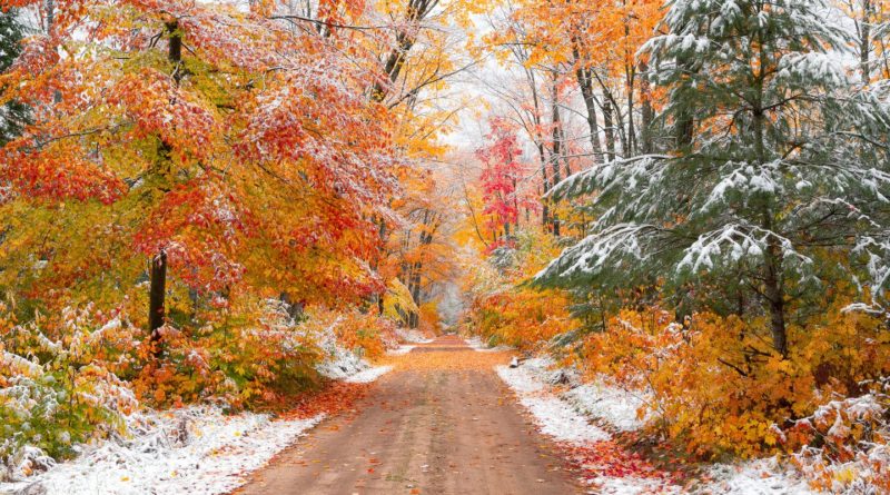 L'inverno meteorologico pianta il suo primo seme