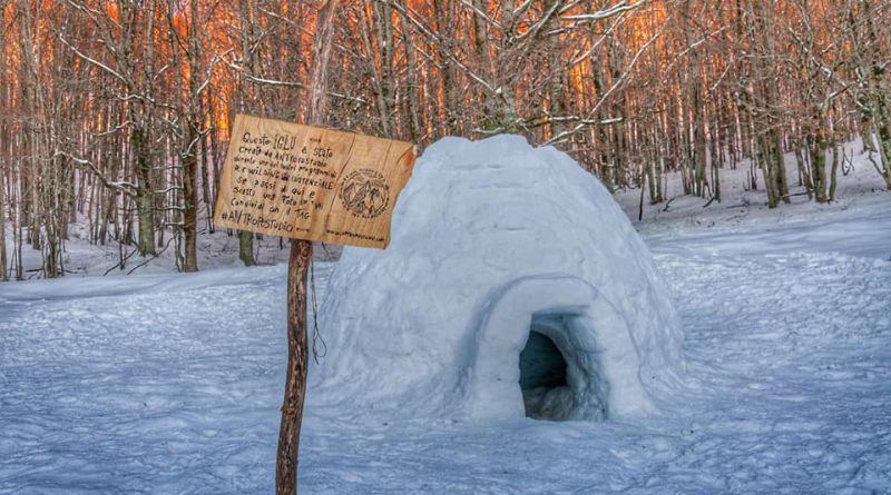 IGLU EXPERIENCE - Da 13 anni a questa parte, si rivive la magia dei villaggi INUIT